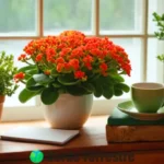 Planta de Kalanchoe en flor en un ambiente acogedor con té herbal
