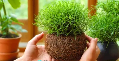 Ilustración de un taller luminoso donde manos de diversas etnias elaboran kokedamas rodeados de plantas verdes y herramientas de jardinería