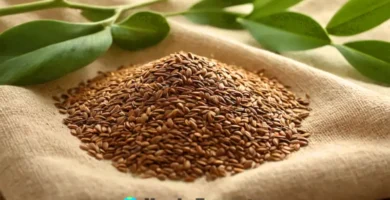 Comparativa artística de lino y semillas de linaza en un entorno natural