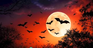 Ilustración de murciélagos volando en un cielo crepuscular con árboles en silueta y una luna brillante