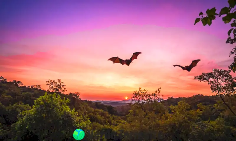 Murciélagos en vuelo contra un cielo crepuscular, rodeados de un bosque exuberante en tonos azules y morados