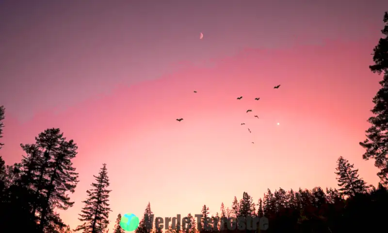 Grupo de murciélagos volando ágilmente en un cielo crepuscular, con un bosque denso y la luna de fondo