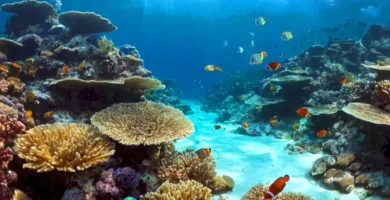Escena submarina vibrante con mariposas marinas nadando entre coloridos corales y peces pequeños