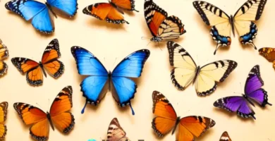 Ilustración colorida de 22 mariposas en un jardín