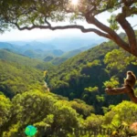 Paisaje de un bosque en México con árboles altos