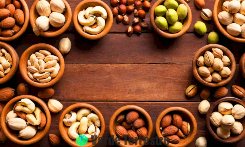 Variedad de nueces en una mesa de madera, con nueces de macadamia en el centro y nombres elegantes para cada tipo