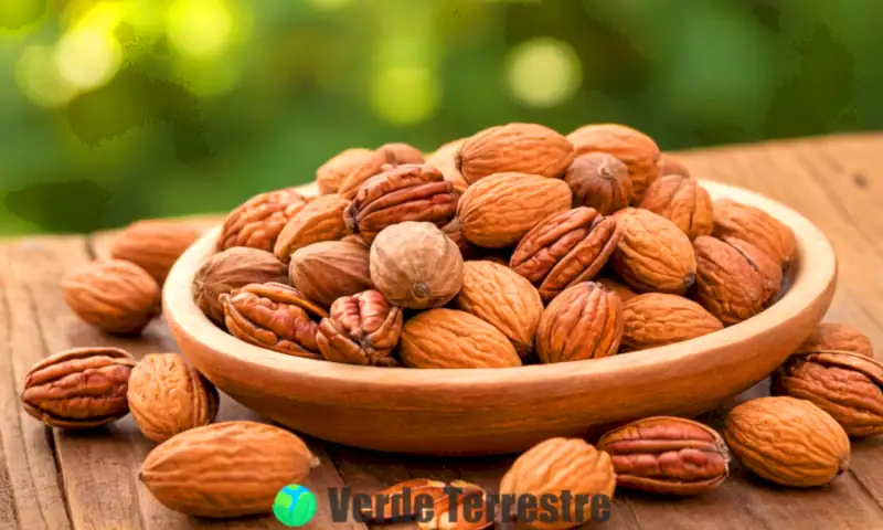 Una nuez de pecana rodeada de almendras, nueces y avellanas sobre una mesa de madera rústica, con un fondo natural iluminado por luz suave