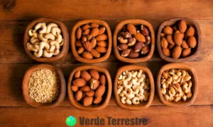 Variedad de nueces etiquetadas sobre una mesa de madera rústica