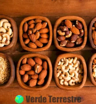 Variedad de nueces etiquetadas sobre una mesa de madera rústica