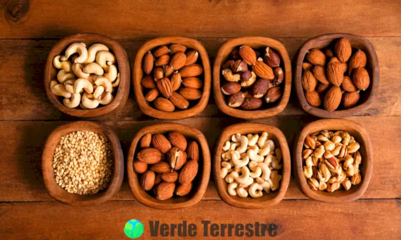 Variedad de nueces etiquetadas sobre una mesa de madera rústica