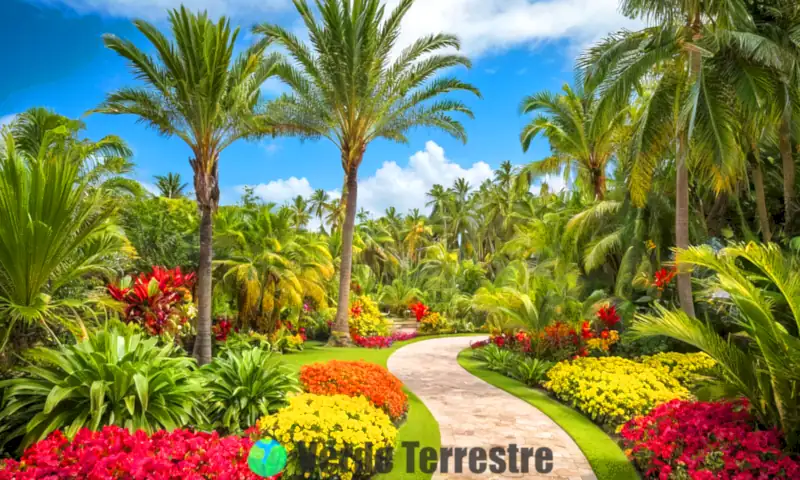 Jardín tropical vibrante con 21 tipos de palmeras, flores coloridas y un camino entre la vegetación bajo un cielo azul