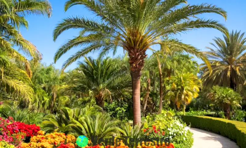 Jardín tropical con 21 palmeras ornamentales rodeadas de flores vibrantes y vegetación exuberante bajo un cielo azul