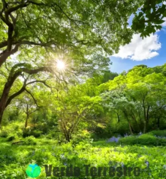 Escena de un bosque frondoso con árboles etiquetados que destacan sus beneficios