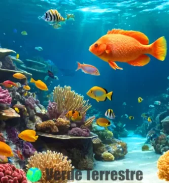 Ilustración educativa de un pez en un entorno submarino vibrante