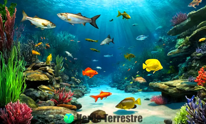 Ilustración educativa que muestra 40 especies de peces de río en un entorno vibrante con vegetación y agua clara