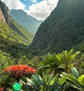 Ilustración de 20 plantas en peligro de extinción de México en una jungla vibrante