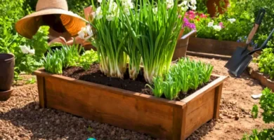 Jardín hogareño con cebollas verdes
