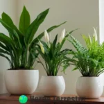 Estantería moderna con 20 plantas de interior verdes
