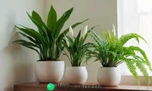 Estantería moderna con 20 plantas de interior verdes