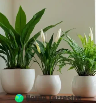 Estantería moderna con 20 plantas de interior verdes