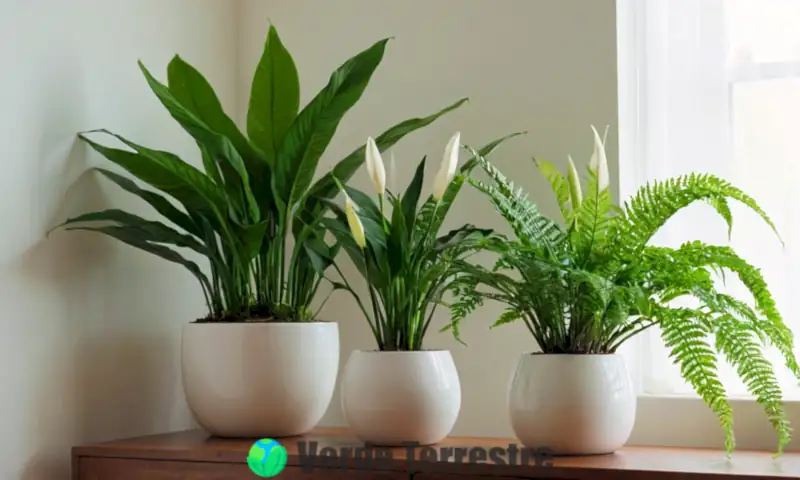 Estantería moderna con 20 plantas de interior verdes