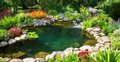 Escena de un estanque con diversas plantas acuáticas y flores