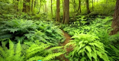 Colección diversa de plantas de bosque en un entorno verde y sereno