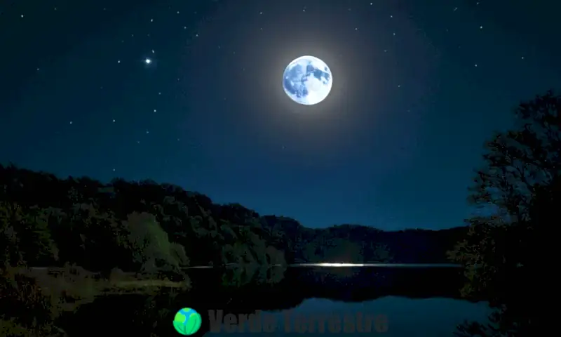 Una luna llena brillante en un cielo oscuro