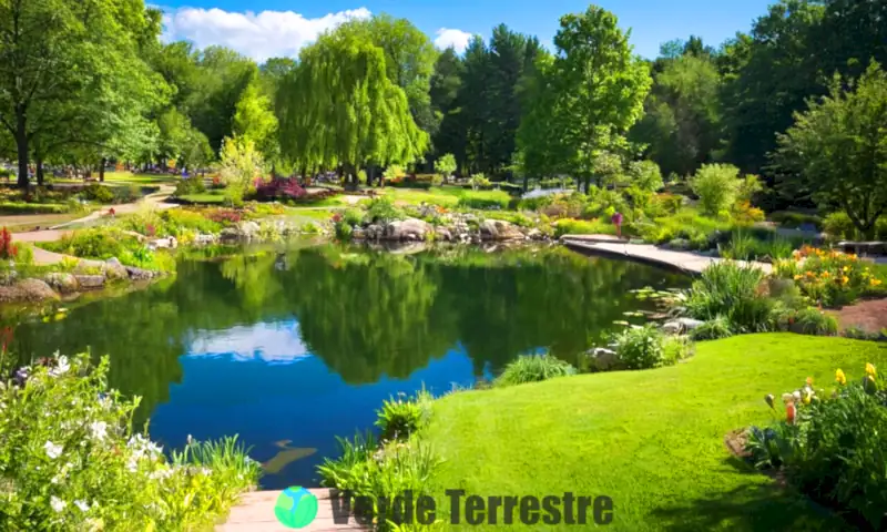 Imagen de un parque ecológico vibrante, con árboles, flores, un cielo azul, personas disfrutando de la naturaleza y un pequeño estanque con patos