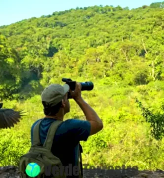 Ornitólogo observa diversas aves en un entorno natural lleno de vegetación y cielo azul