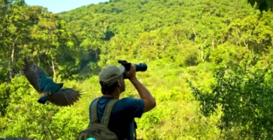 Ornitólogo observa diversas aves en un entorno natural lleno de vegetación y cielo azul