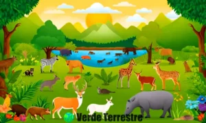Diagrama educativo que ilustra los niveles tróficos de un ecosistema