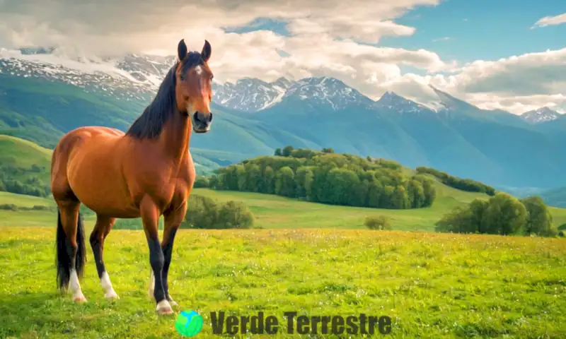 Caballo majestuoso en un prado verde bajo un cielo azul, rodeado de otros caballos grandes, iluminado por luz dorada