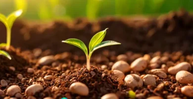 Brote de semillas de durazno en primer plano con tierra rica y herramientas de jardinería