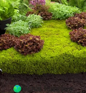 Ilustración de sustrato de turba en un jardín