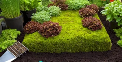 Ilustración de sustrato de turba en un jardín