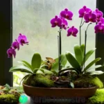 Ramo de orquídeas vibrantes en un invernadero luminoso