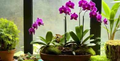 Ramo de orquídeas vibrantes en un invernadero luminoso