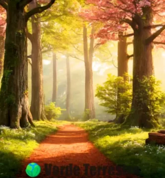 Ilustración de un bosque diverso con diferentes árboles etiquetados
