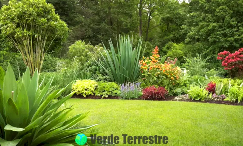 Ilustración educativa de diversos tipos de tallos de plantas en un jardín verde, con detalles sobre su clasificación y funciones