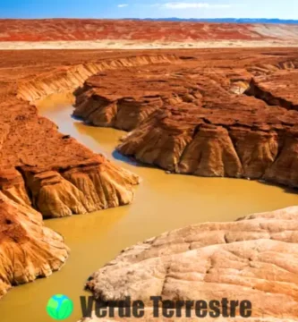 Paisaje dividido que muestra distintos tipos de erosión