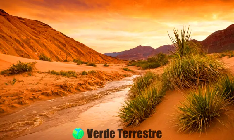 Ilustración de diferentes tipos de erosión en un paisaje natural durante un atardecer dorado, mostrando un río, dunas de arena y montañas, con vegetación variada