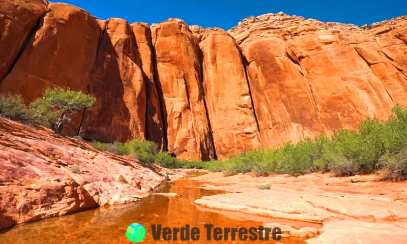 Portada que representa el proceso de meteorización con tres escenas: meteorización mecánica con rocas erosionándose, meteorización química con minerales reaccionando, y meteorización biológica con raíces rompiendo rocas, en un paisaje natural que va de árido a exuberante