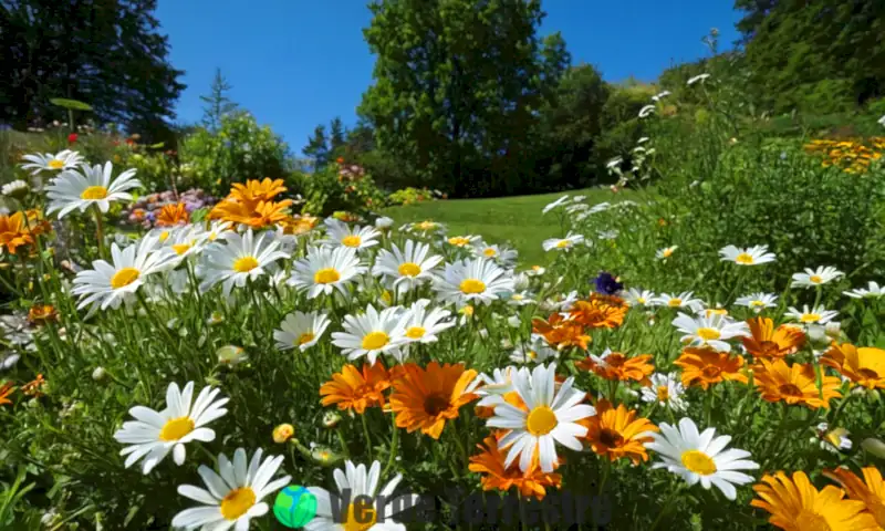 Jardín vibrante con 14 tipos de margaritas en flor, hojas verdes y un cielo azul