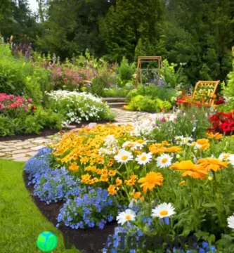 Catorce tipos de margaritas en un jardín vibrante
