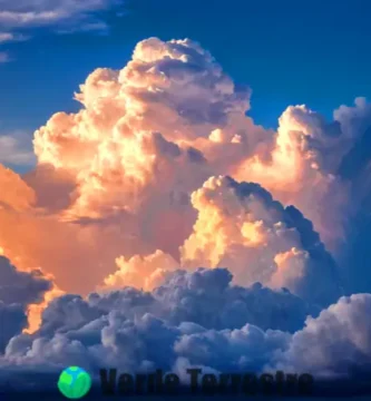 Portada artística que muestra diferentes tipos de nubes en un cielo vibrante con transiciones de azul a tonos de atardecer