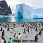 Ilustración de 18 especies de pingüinos en hábitats antárticos