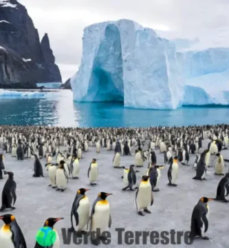 Ilustración de 18 especies de pingüinos en hábitats antárticos