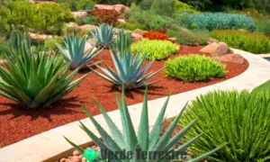 Diez variedades de plantas de Aloe Vera en un jardín soleado