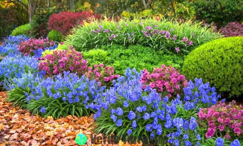 Un jardín sereno en otoño con plantas de Veronica en plena floración, mostrando flores vibrantes en tonos de azul, púrpura y rosa